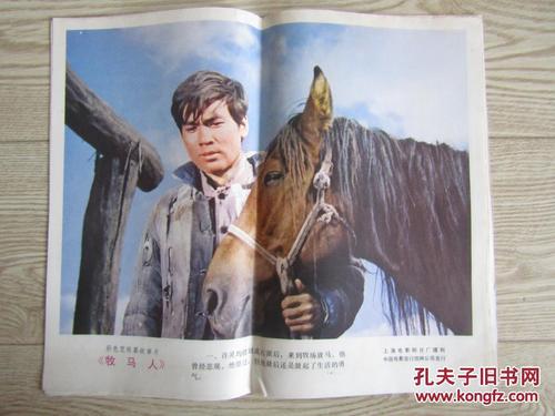 定制高仿内华达州驾照
